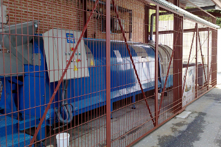 Composting plant in a local school.